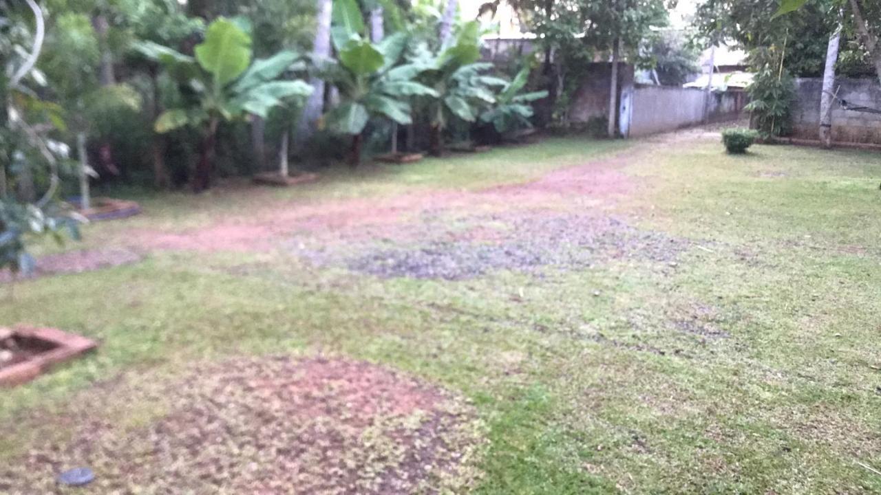 迪克韦勒Secret House公寓 外观 照片